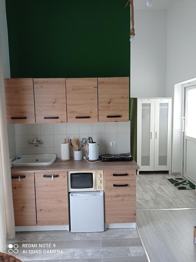 Apartment Lesne *